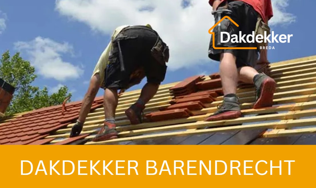 Dakbeeld bij de locatiepagina voor Barendrecht