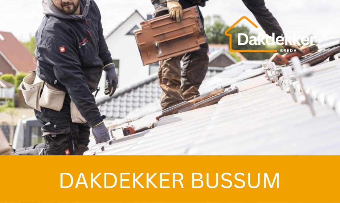 Dakbeeld bij de locatiepagina voor Bussum