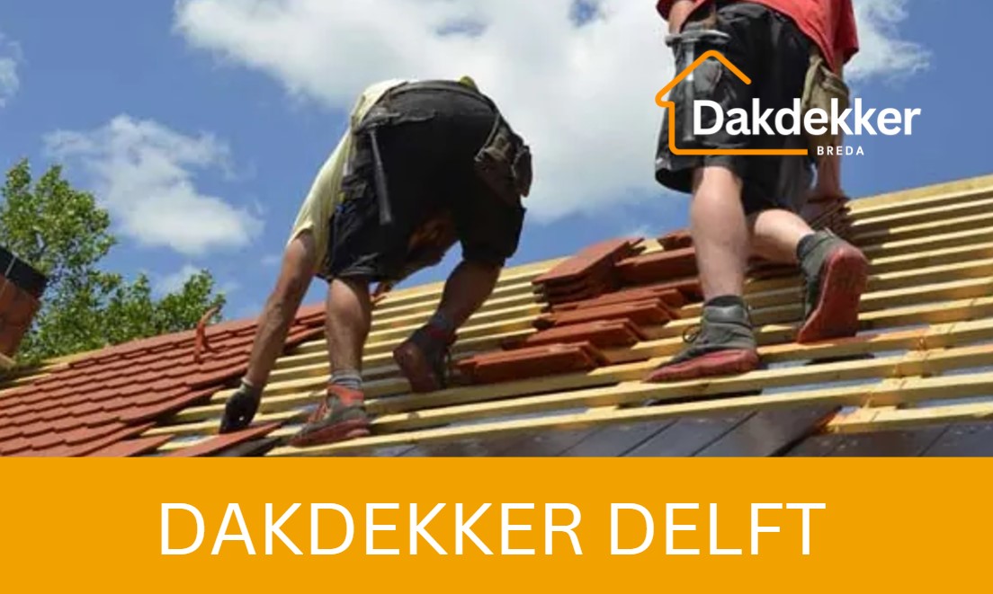 Dakbeeld bij de locatiepagina voor Delft