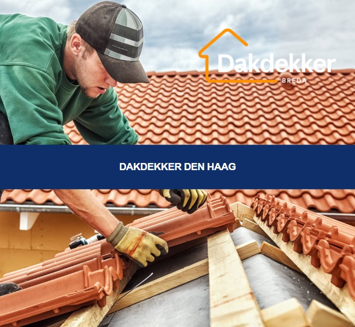 Dakbeeld bij de locatiepagina voor Den Haag