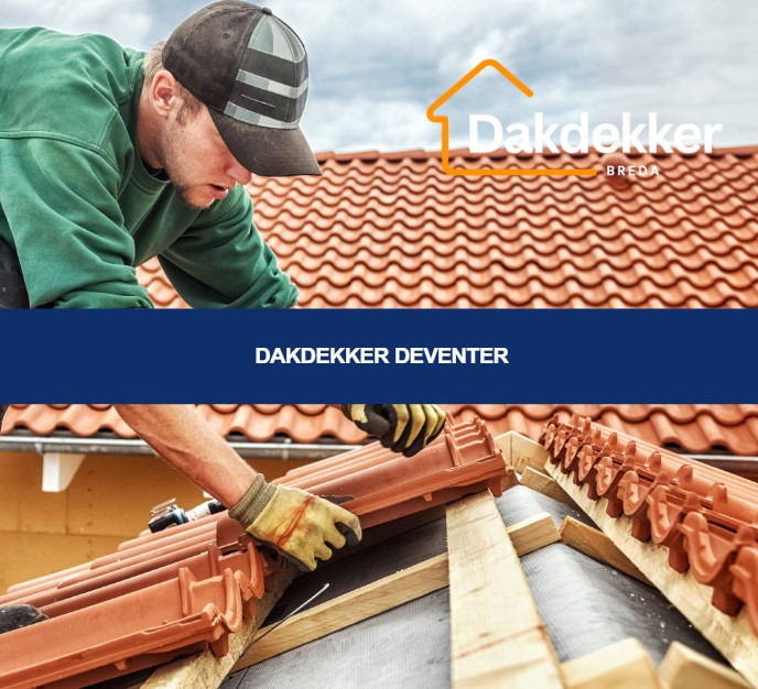 Dakbeeld bij de locatiepagina voor Deventer