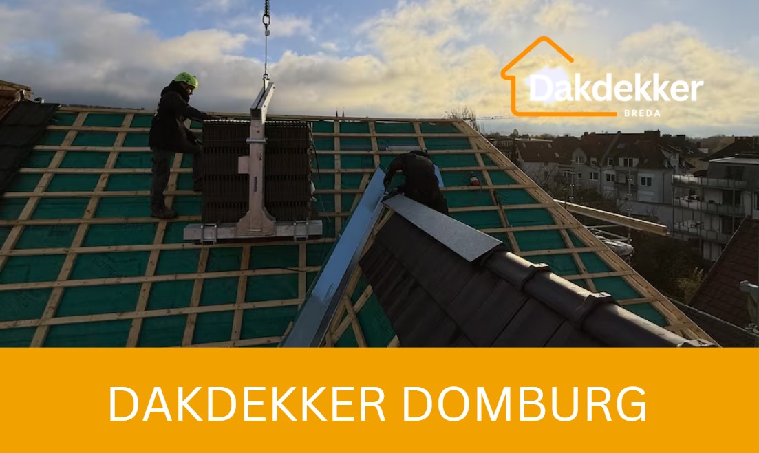 Dakbeeld bij de locatiepagina voor Domburg