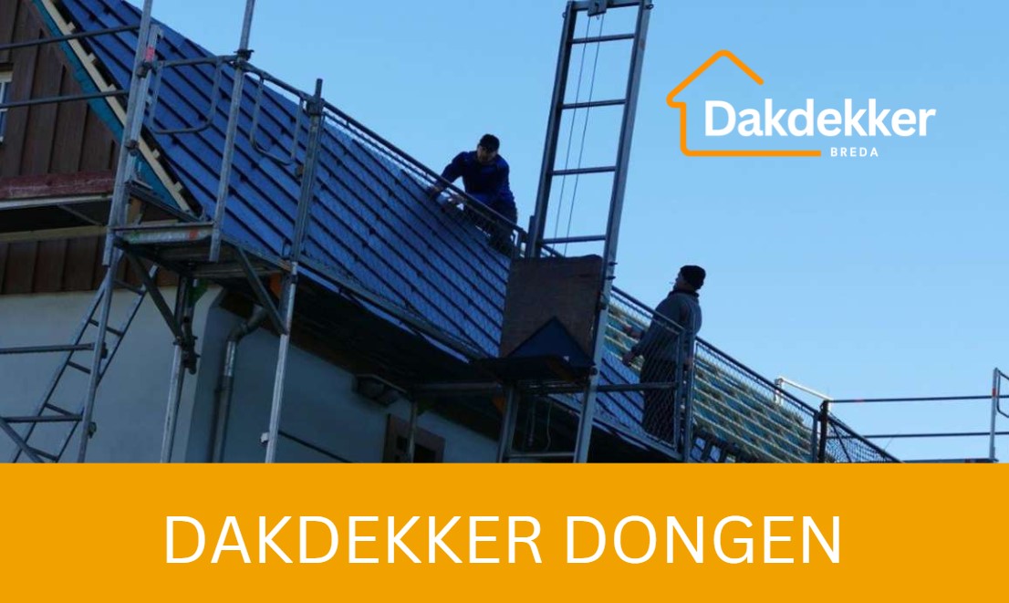 Dakbeeld bij de locatiepagina voor Dongen