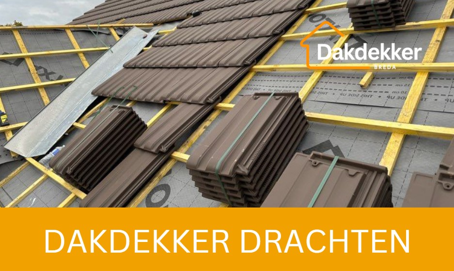 Dakbeeld bij de locatiepagina voor Drachten