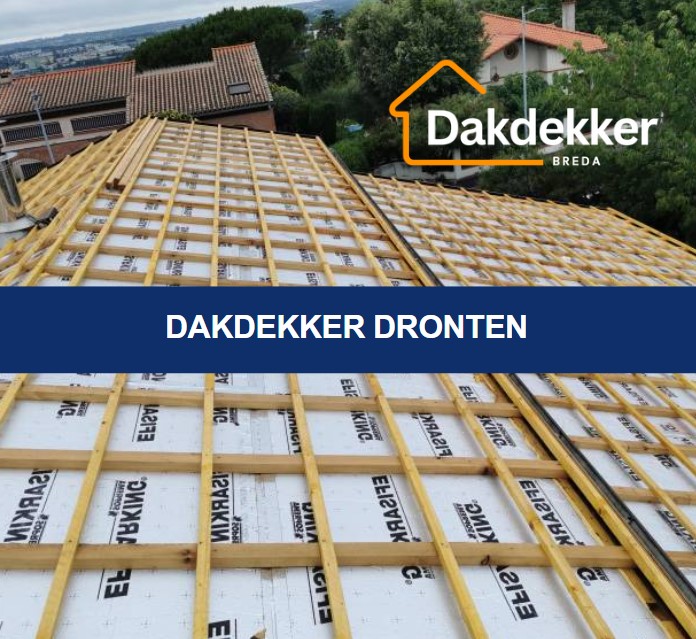 Dakbeeld bij de locatiepagina voor Dronten
