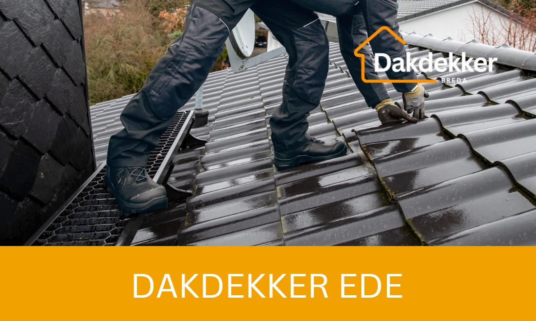 Dakbeeld bij de locatiepagina voor Ede