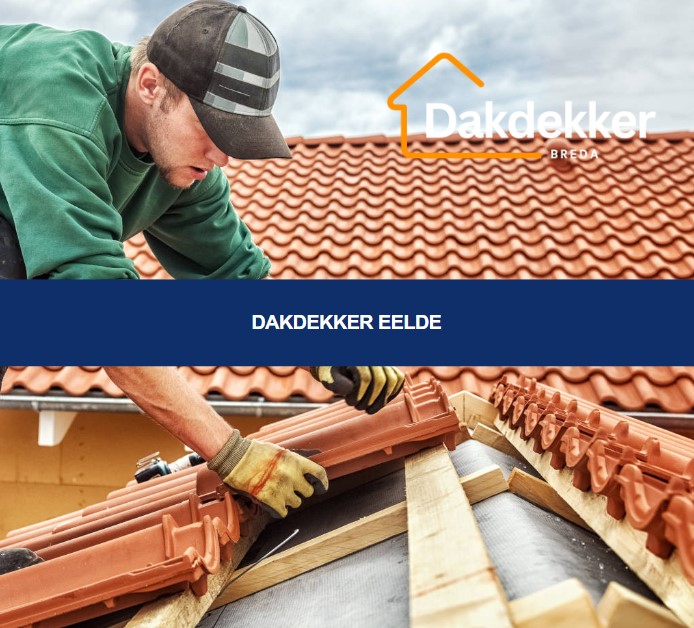 Dakbeeld bij de locatiepagina voor Eelde