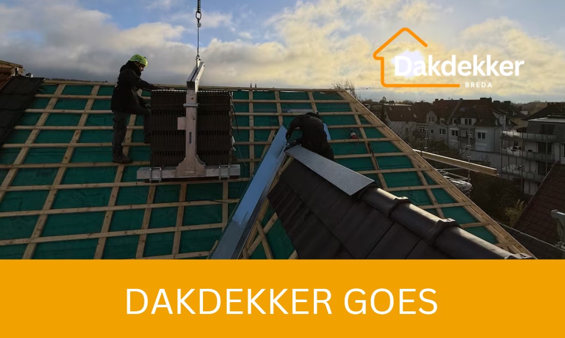 Dakbeeld bij de locatiepagina voor Goes