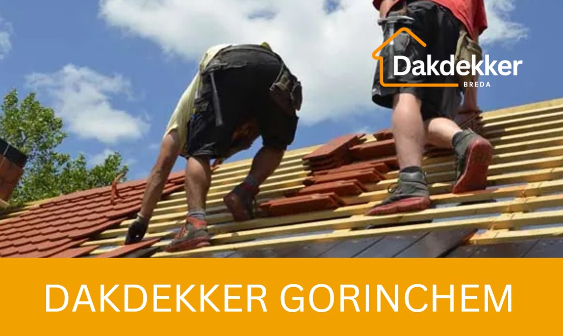 Dakbeeld bij de locatiepagina voor Gorinchem