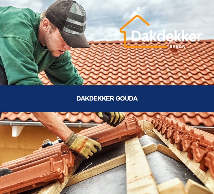 Dakbeeld bij de locatiepagina voor Gouda