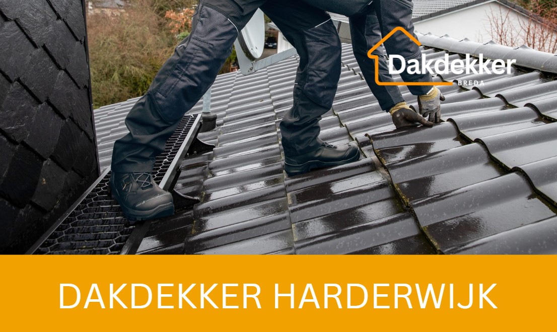 Dakbeeld bij de locatiepagina voor Harderwijk