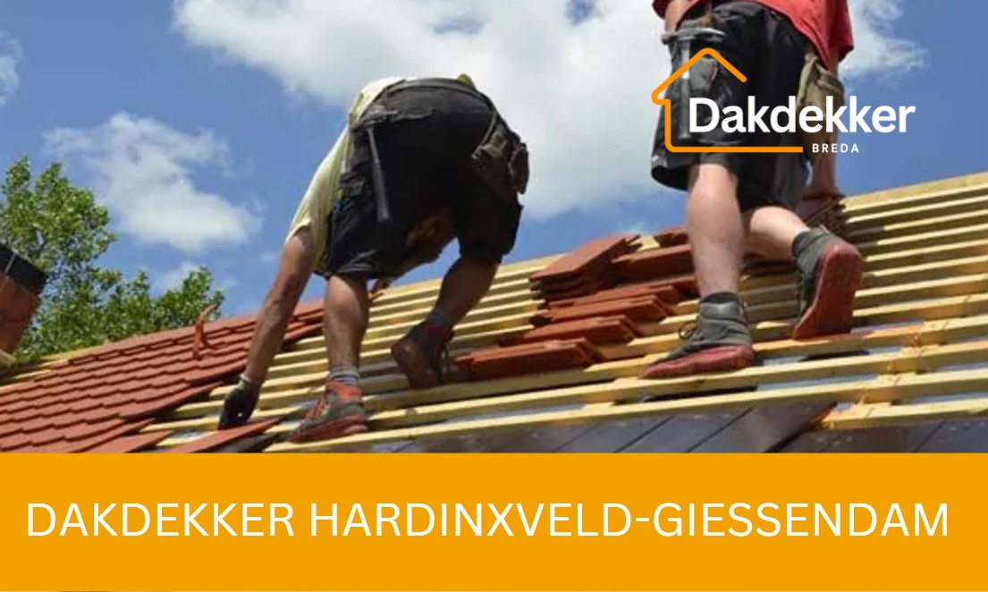 Dakbeeld bij de locatiepagina voor Hardinxveld-Giessendam