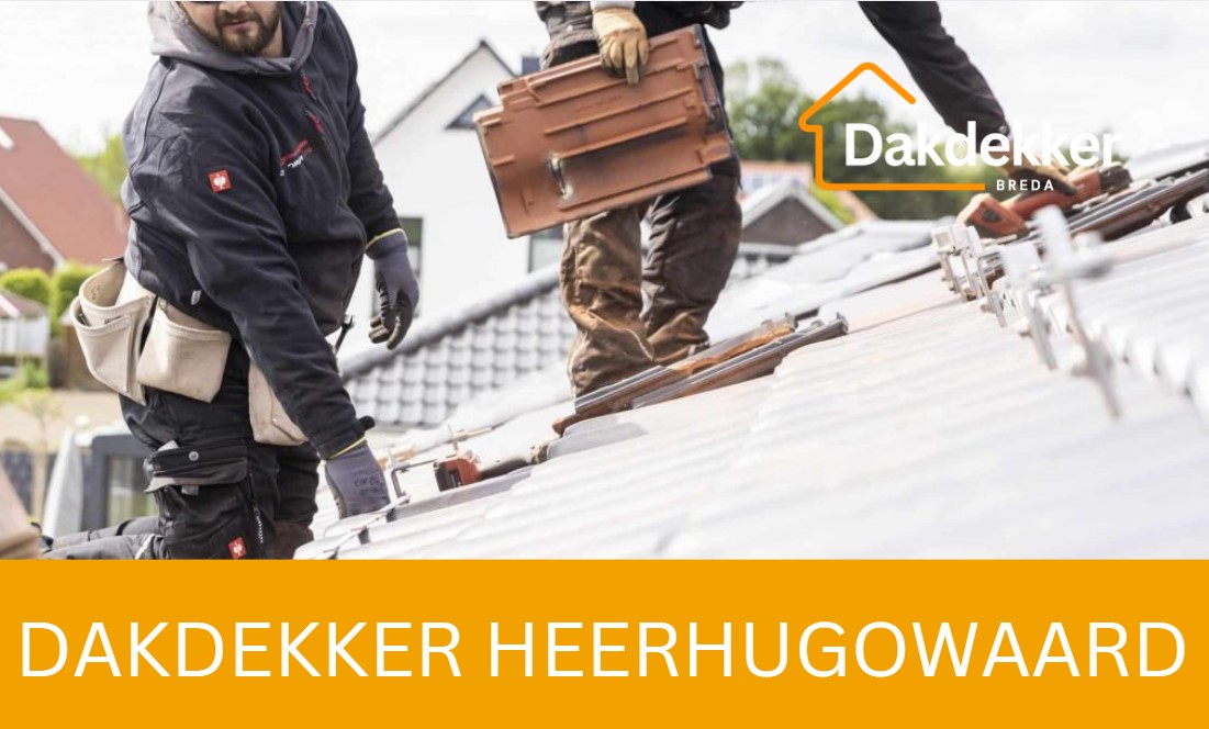 Dakbeeld bij de locatiepagina voor Heerhugowaard