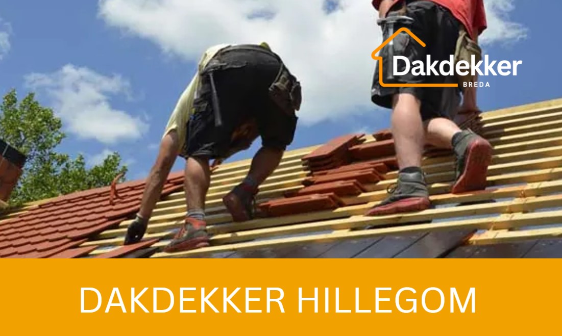 Dakbeeld bij de locatiepagina voor Hillegom