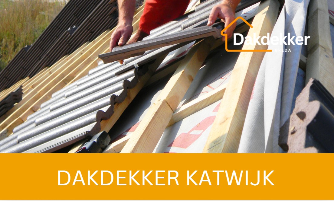 Dakbeeld bij de locatiepagina voor Katwijk