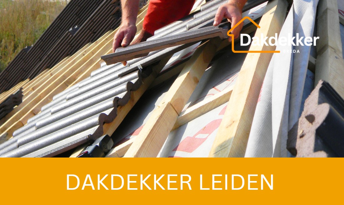 Dakbeeld bij de locatiepagina voor Leiden