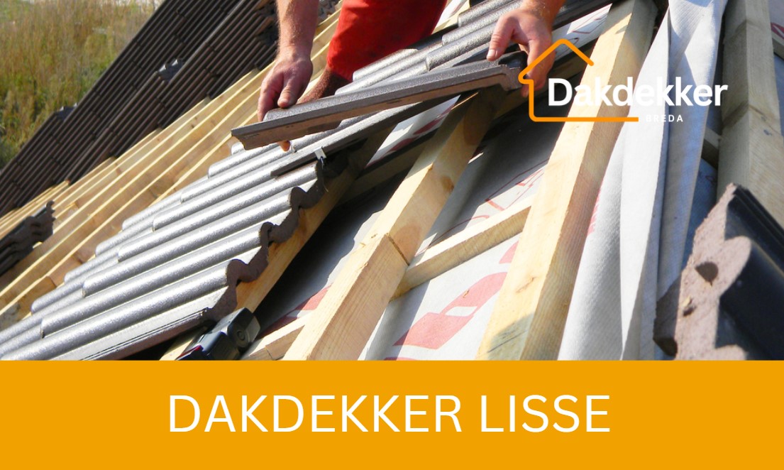 Dakbeeld bij de locatiepagina voor Lisse