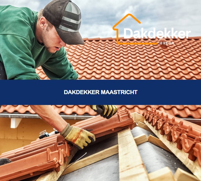 Dakbeeld bij de locatiepagina voor Maastricht