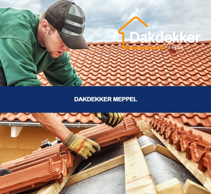 Dakbeeld bij de locatiepagina voor Meppel