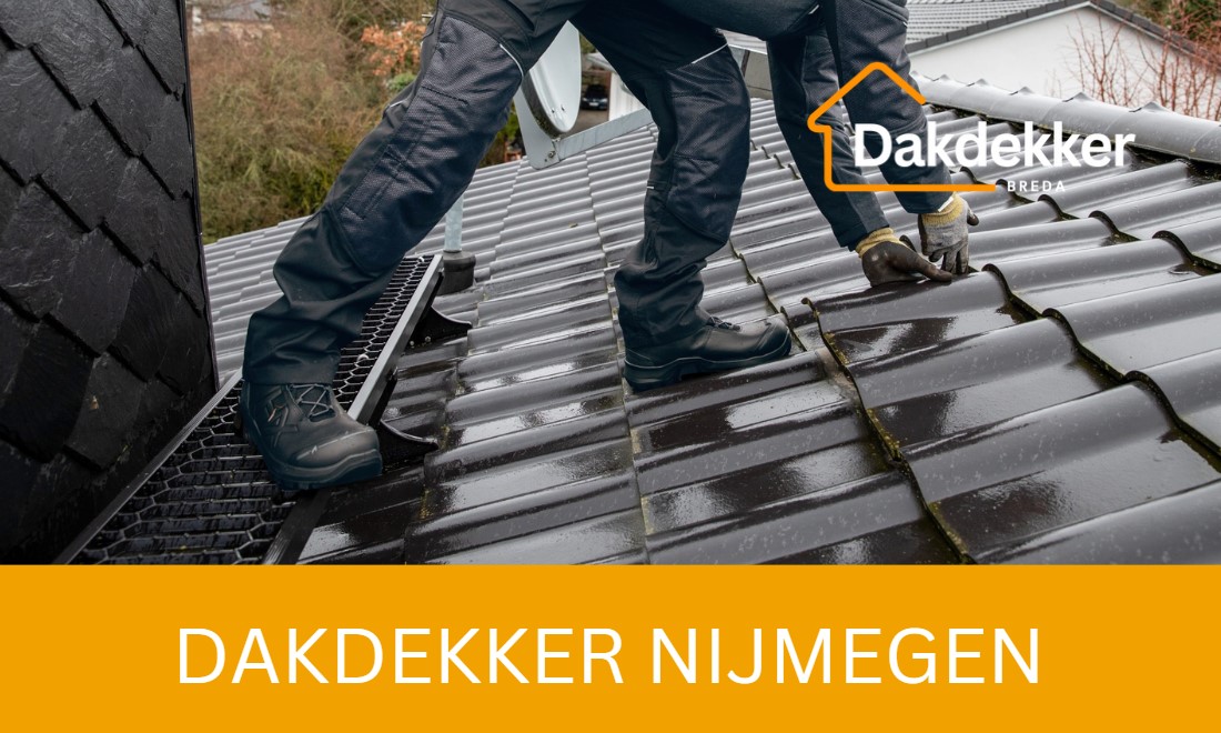 Dakbeeld bij de locatiepagina voor Nijmegen