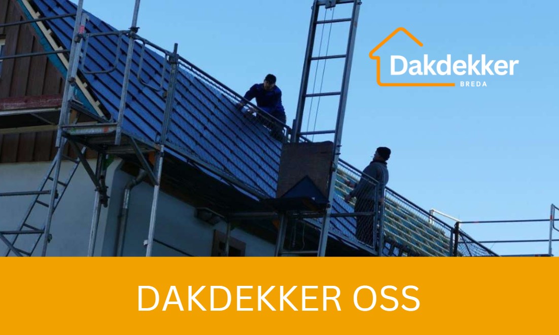 Dakbeeld bij de locatiepagina voor Oss