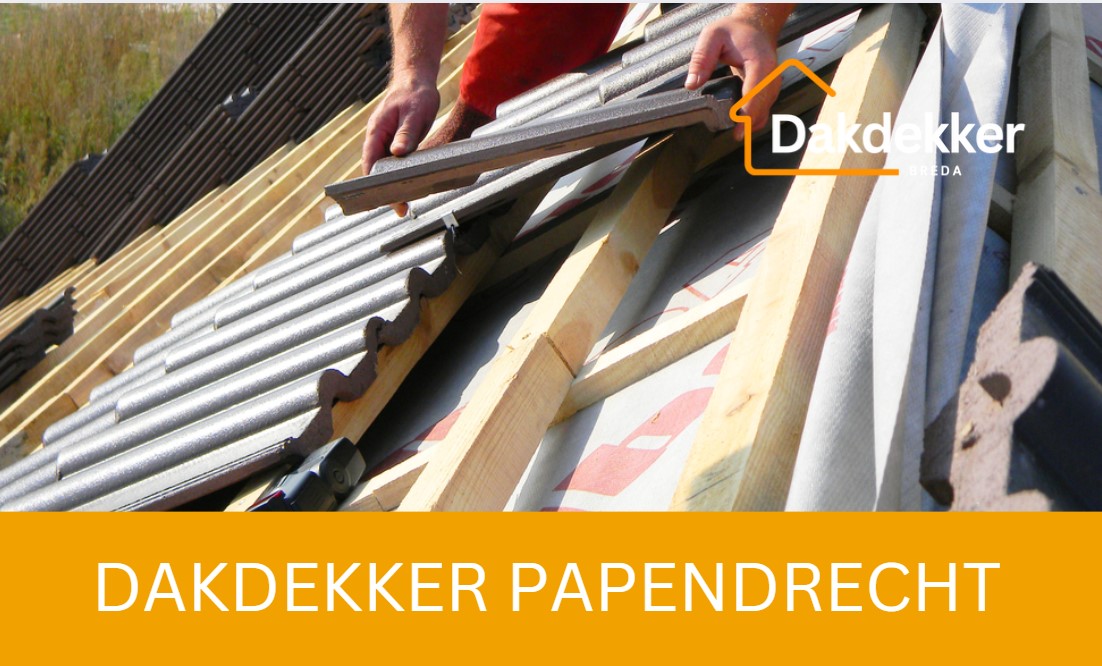 Dakbeeld bij de locatiepagina voor Papendrecht