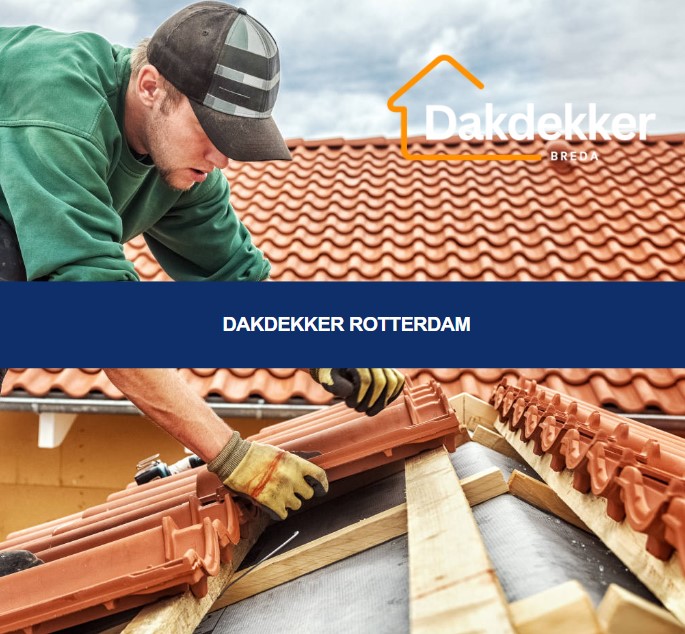 Dakbeeld bij de locatiepagina voor Rotterdam