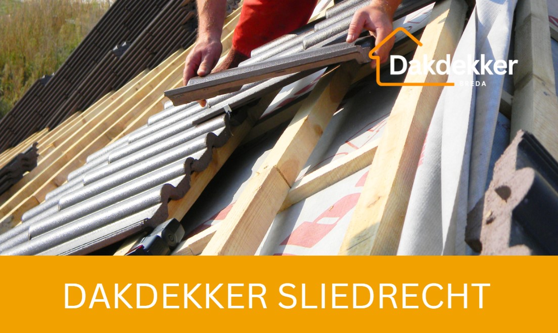 Dakbeeld bij de locatiepagina voor Sliedrecht