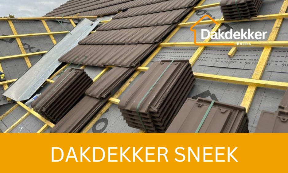 Dakbeeld bij de locatiepagina voor Sneek