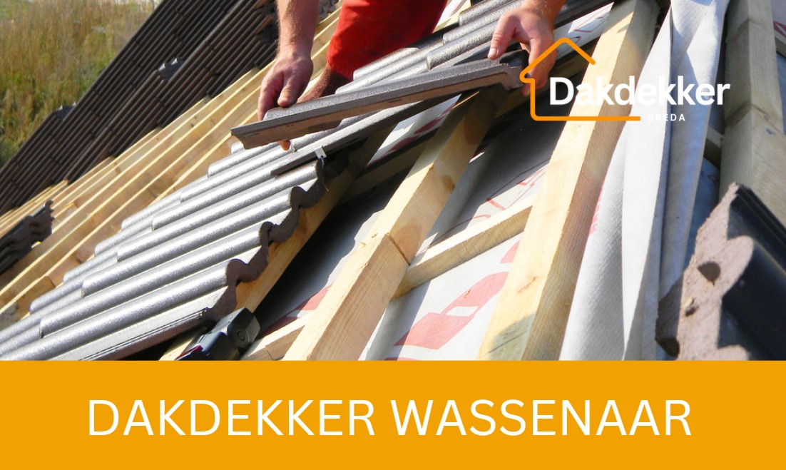 Dakbeeld bij de locatiepagina voor Wassenaar