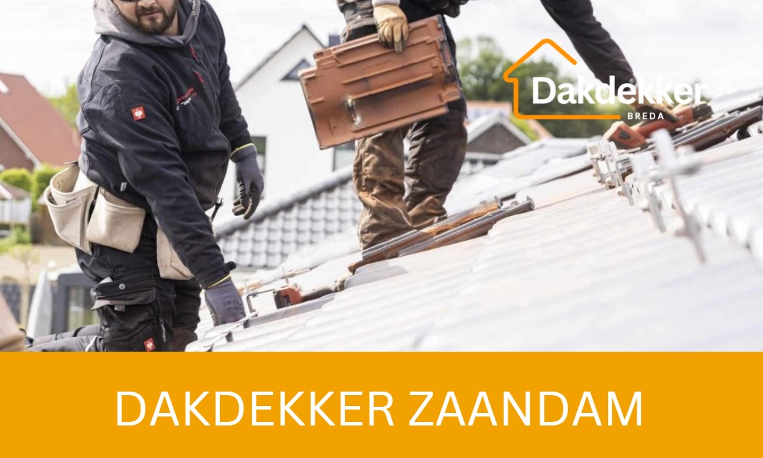 Dakbeeld bij de locatiepagina voor Zaandam