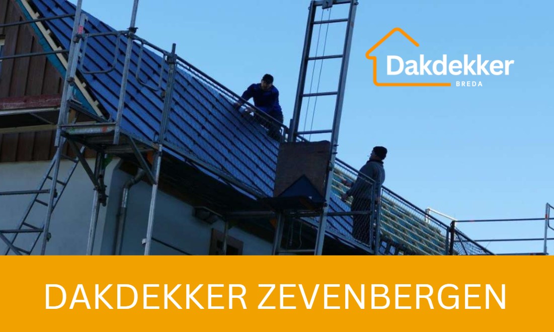 Dakbeeld bij de locatiepagina voor Zevenbergen