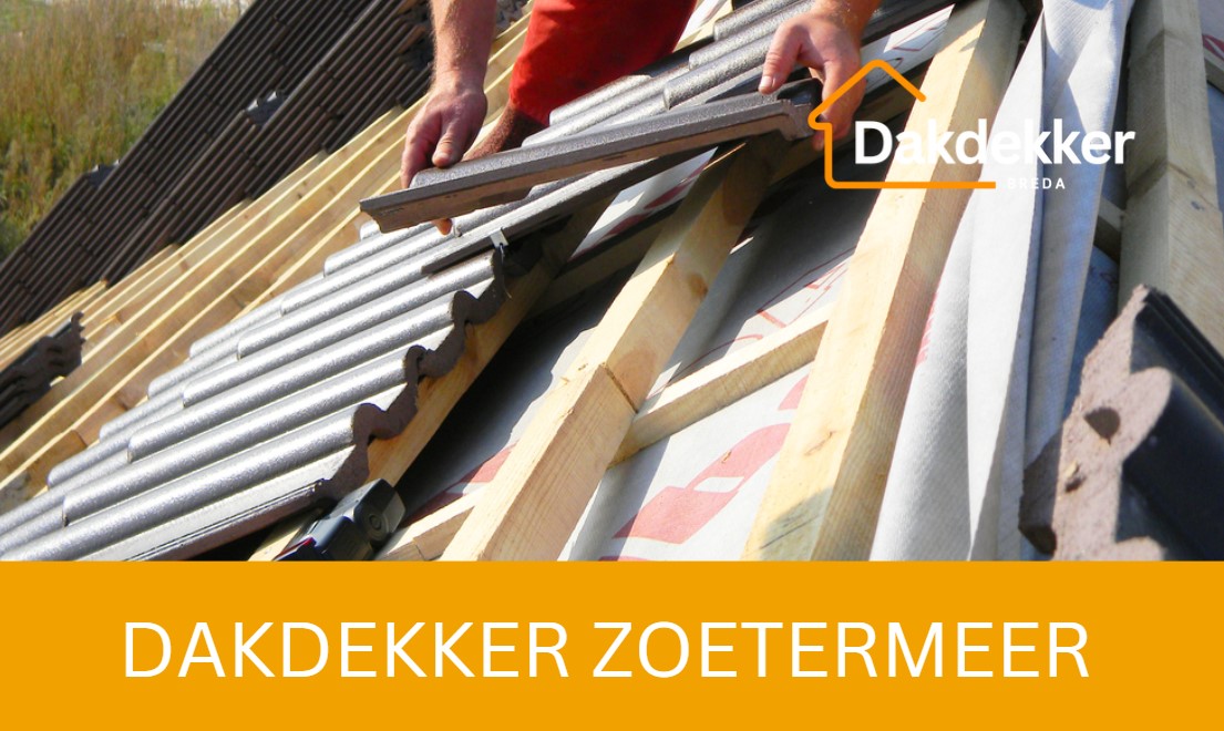 Dakbeeld bij de locatiepagina voor Zoetermeer