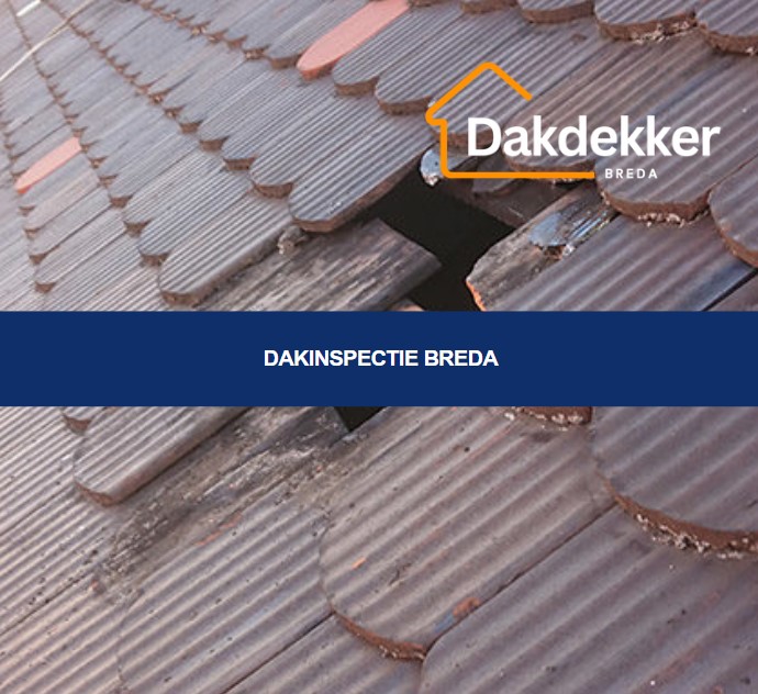 Dakinspectie in Breda