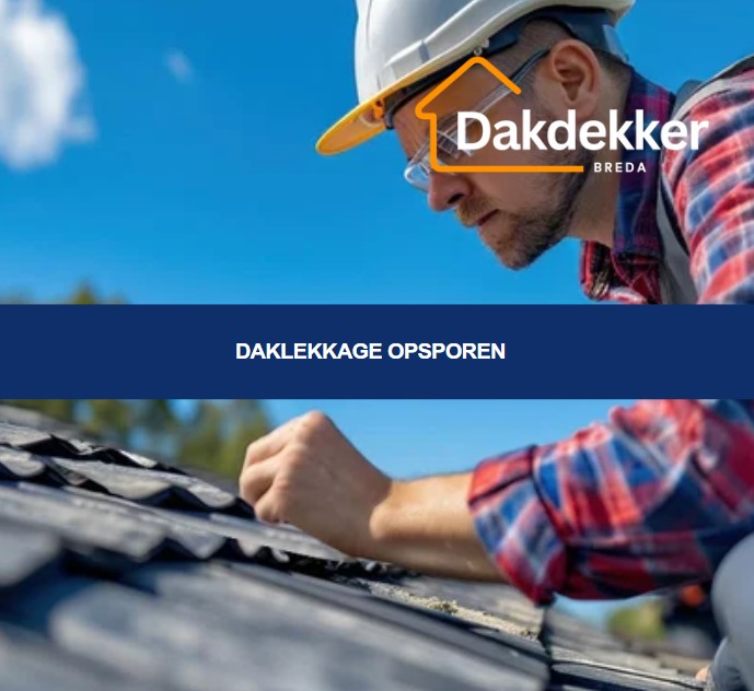 Het detecteren van de bron van een lekkage in het dak, met gebruik van inspectie en soms geavanceerde apparatuur.