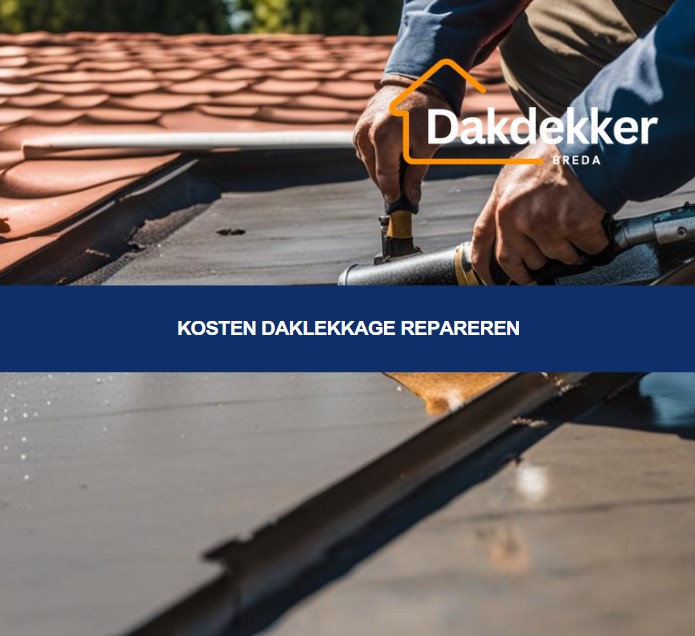 De kosten die verbonden zijn aan het opsporen en herstellen van een daklekkage, afhankelijk van de omvang en locatie van de schade.