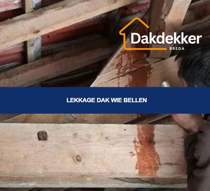lekkage dak wie bellen