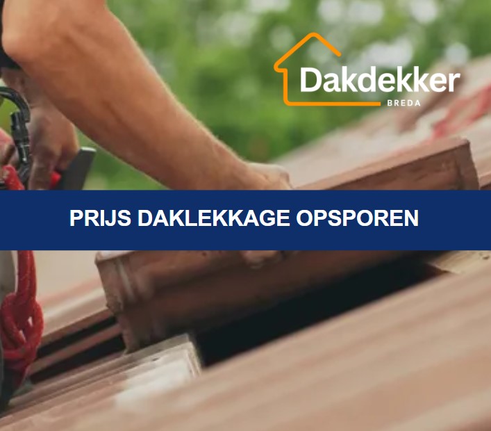 Prijs daklekkage opsporen